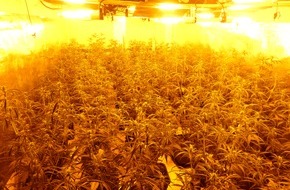 Polizei Mönchengladbach: POL-MG: Zufallsfund: Polizei findet Cannabis-Plantage