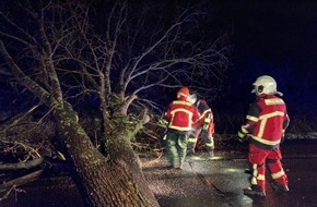 Kreisfeuerwehrverband Dithmarschen: FW-HEI: Sturm sorg für 229 Einsätze