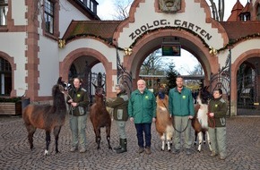 Leipzig Tourismus und Marketing GmbH: Südamerika-Eröffnung und 140. Geburtstag - Zoo Leipzig startet ins Jahr 2018