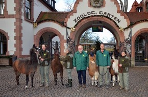 Leipzig Tourismus und Marketing GmbH: Südamerika-Eröffnung und 140. Geburtstag - Zoo Leipzig startet ins Jahr 2018