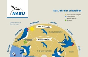 NABU: NABU: Das Schwalbenjahr beginnt / Hilfe für die gefährdeten Glücksboten