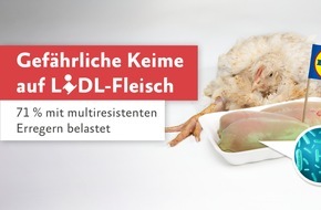 Albert Schweitzer Stiftung für unsere Mitwelt: Gefahr für Verbraucher:innen: Krankheitserreger auf Lidl-Fleisch nachgewiesen / 71 % der Proben mit antibiotikaresistenten Keimen