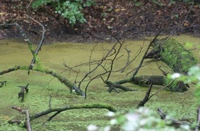 Global Nature Fund: Alarmstufe Rot bei der Biologischen Vielfalt unter Wasser