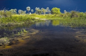 Deutsche Umwelthilfe e.V.: COMPAQ rettet die Afrikanische Wildnis / Einzigartige Wirtschafts- und Umweltkooperation auf der CeBit vorgestellt