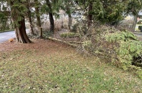 Polizei Korbach: POL-KB: Bad Wildungen - Unbekannter beschädigt Bäume auf dem Friedhof, Polizei bittet um Hinweise