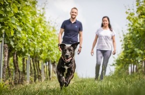 Boehringer Ingelheim: Gesundes Neues Jahr 2019: Vier Pfoten für mehr Entspannung und Bewegung (FOTO)