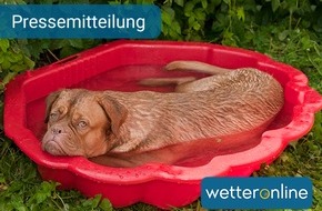 WetterOnline Meteorologische Dienstleistungen GmbH: Die Hundstage kommen -  Es wird heiß!