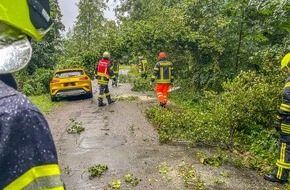 Feuerwehr Flotwedel: FW Flotwedel: Feuerwehren beseitigen umgestürzten Baum von PKW