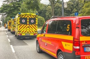 Feuerwehr Dresden: FW Dresden: Mehrere Personen kollabieren nach Stich von Hornissen