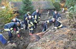Feuerwehr Essen: FW-E: Erfolgreiche Tierrettung in Essen-Byfang, Holsteiner Pferd war in Graben gerutscht