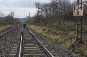 Bundespolizeidirektion Sankt Augustin: BPOL NRW: Schafe im Gleis - Bundespolizei rettet tierische Gleisläufer