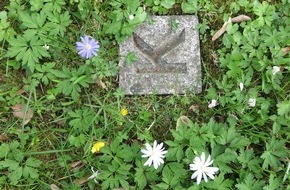 Katholische Hochschule Nordrhein-Westfalen: Presseeinladung: „The Alphabet Garden“ – Symposium in Anwesenheit der US-amerikanischen Künstlerin Diane Samuels