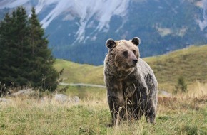 VIER PFOTEN - Stiftung für Tierschutz: Das Arosa Bärenland feiert bärenstarkes, 5-jähriges Jubiläum