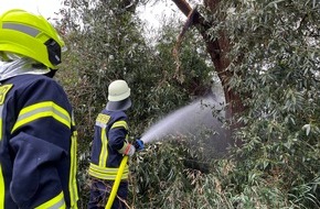 Feuerwehr Flotwedel: FW Flotwedel: Ortsfeuerwehr Eicklingen löscht brennenden Baum nach Blitzschlag