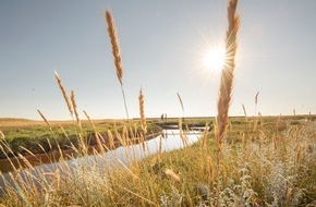 Tourismus-Zentrale St. Peter-Ording: Ganz nah dran - Naturerlebniswoche in St. Peter-Ording