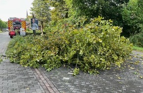 Freiwillige Feuerwehr Alpen: FW Alpen: umgestürzter Baum auf Gehweg