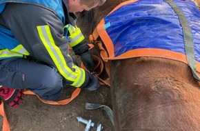 Feuerwehr Bochum: FW-BO: Pferderettung in Sevinghausen