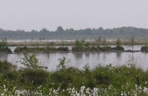 Global Nature Fund: Zum Weltwassertag: GNF und Netzwerk Lebendige Seen fordern wirksamen Wasser- und Gewässerschutz