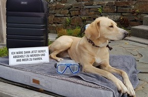 Bundesverband für Tiergesundheit e.V.: BfT/bpt-Video-Challenge "Mit dem Hund auf Reisen" : Gewinner stehen fest