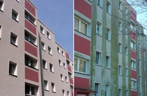 Atheco AG: Umweltschutz durch ungiftige nachhaltige Gebäudeschutz-Beschichtungen gegen Algen- und Moosbefall