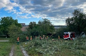 Freiwillige Feuerwehr Reichenau: FW Reichenau: Baum blockiert Fahrweg - 22.08.2026