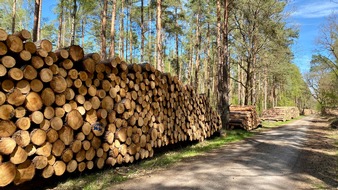 Deutsche Säge- und Holzindustrie Bundesverband e. V. (DeSH): WEHAM: Ressourcenstrategie Wald und Holz notwendig