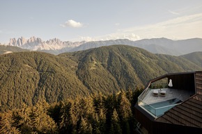 Der Reichtum des Waldes | Roland Lamprecht kocht seit zwei Jahren in Südtirol im FORESTIS seine Wald- und Naturküche