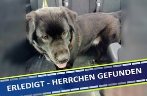 Polizeipräsidium Mittelhessen - Pressestelle Lahn - Dill: POL-LDK: Herrchen gefunden! Suche nach Hundebesitzer hat sich erledigt!