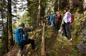 Berner Fachhochschule (BFH): Medienmitteilung: 20 Jahre Wissen zum Wald