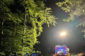 Feuerwehr Detmold: FW-DT: Alleinunfall auf der "Gauseköte"