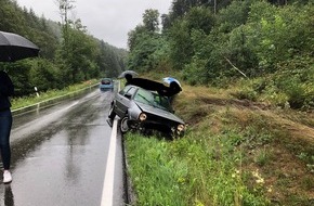 Polizeidirektion Landau: POL-PDLD: Pkw-Fahrer kommt von der Fahrbahn ab