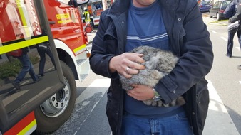 Feuerwehr Recklinghausen: FW-RE: Dramatischer Wohnungsbrand mit Menschenrettung - eine schwerst verletzte Person aus dem 2. OG gesprungen