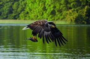 Tourismusverband Mecklenburg-Vorpommern: PM 32/20 Landtagspräsidentin Birgit Hesse eröffnete Outdoor-Fotoausstellung "Wo Natur zu Hause ist"