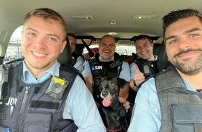 Polizei Hagen: POL-HA: Entlaufener Hund hält Polizisten der Landes- und Bundespolizei auf Trab