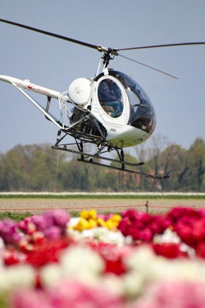 Pressebericht: Eine Blume auf Erfolgskurs: Start in die Tulpensaison 2019