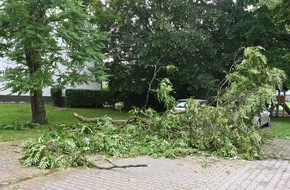 Feuerwehr Pulheim: FW Pulheim: Hitzegewitter bringt Sturmb&ouml;en nach Pulheim