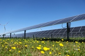 GOLDBECK SOLAR: Solarenergie mit Weitblick und Rücksicht / Intersolar 2024: GOLDBECK SOLAR teilt Visionen und Innovationen