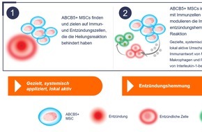 RHEACELL GmbH und Co. KG: Mit Stammzellen gegen chronisch-venöse Wunden / RHEACELL erhält Deutschen Wundpreis 2022