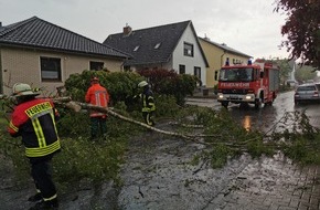Freiwillige Feuerwehr Gemeinde Schiffdorf: FFW Schiffdorf: Unwetter sorgt für abgebrochenen Baum