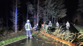 Freiwillige Feuerwehr Celle: FW Celle: Orkan Zeynep über Celle - Über 40 Einsätze am Freitag