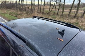 Polizeiinspektion Stade: POL-STD: Jork-Hinterbrack: Baum auf K39 gest&uuml;rzt - zwei Pkw besch&auml;digt