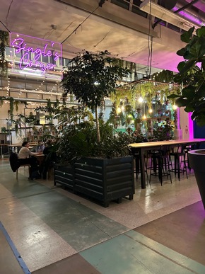 Der neue Singles Corner im Freiruum