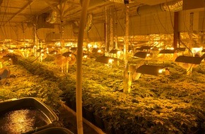 Polizeiinspektion Oldenburg-Stadt / Ammerland: POL-OL: +++ Festnahme des Betreibers einer Cannabis-Plantage +++