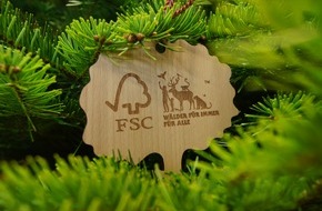 Forest Stewardship Council (FSC): Grüne Weihnachten - Pestizidfrei unterm Weihnachtsbaum