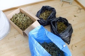 Polizeidirektion Bad Segeberg: POL-SE: Norderstedt   /
Polizei entdeckt Marihuana-Plantage im Keller eines Reihenhauses
