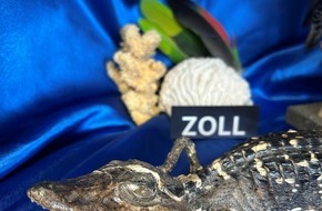 Hauptzollamt Rosenheim: HZA-RO: Hauptzollamt Rosenheim appelliert an den Schutz gefährdeter Tiere und Pflanzen / "Tag des Artenschutzes" am 03. März