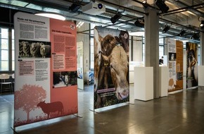 VIER PFOTEN - Stiftung für Tierschutz: Journée mondiale des animaux: l'exposition anniversaire itinérante de QUATRE PATTES bientôt en Romandie