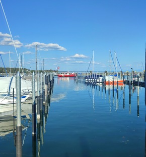 FW Konstanz: &Ouml;lteppich im Konstanzer Hafen
