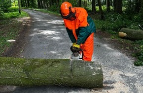 Feuerwehr Schermbeck: FW-Schermbeck: Baum auf Stromleitung