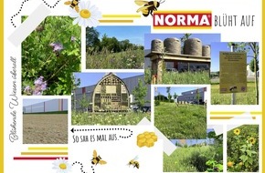 NORMA: NORMA-Erfolgsprojekt zum Schutz von Bienen jährt sich und wird ausgeweitet - blühende Wiesen überall / Umweltinitiative für den Artenschutz feiert JuBEEläum